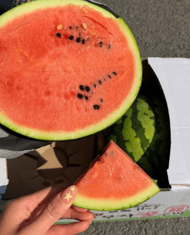 정품 수박