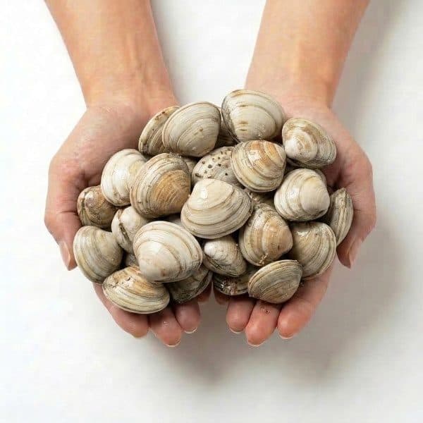 바지락